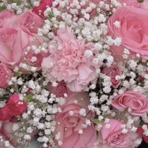 Meet your Posher, Bee Thrifts